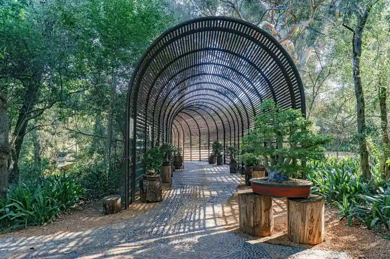 Paths and planting in the Babylonstoren garden.